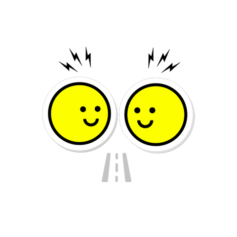 Custom Car Magnets - Sticker Brothers